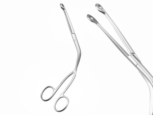 kleszczyki Magill 20cm kopia.jpg