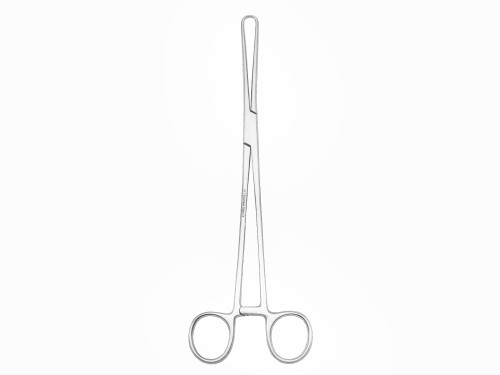 kulociag Schroeder 25cm kopia.jpg